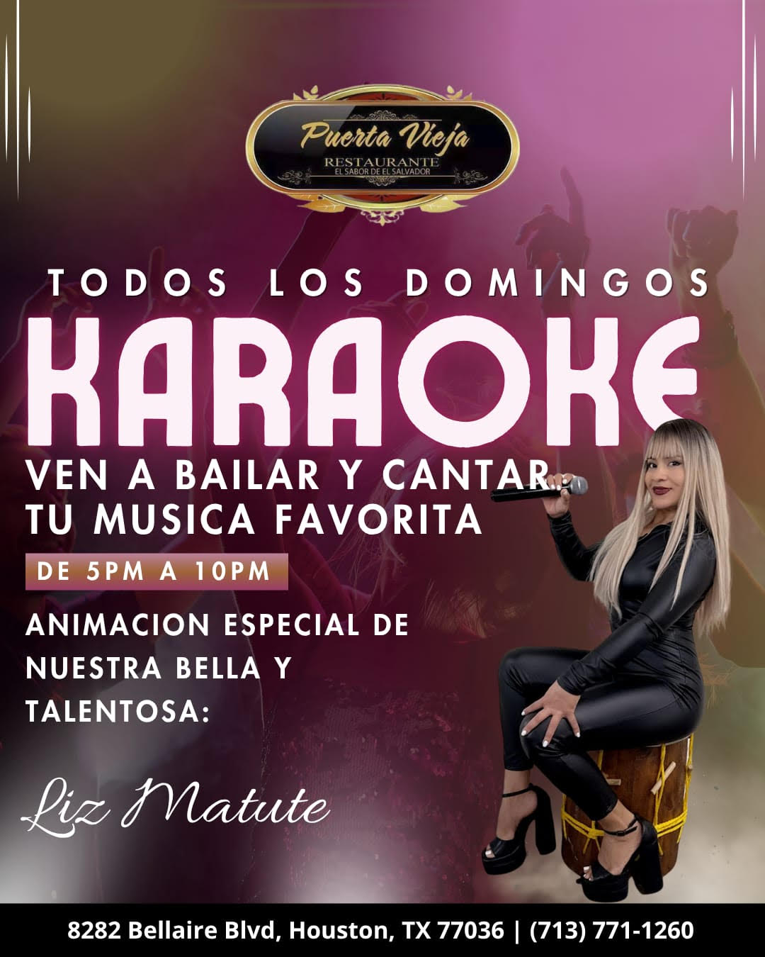 Domingos de Karaoke con Liz Matute